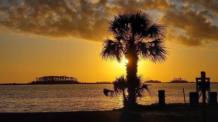 Sunrise over Levy Bay in Panacea, Florida, with golden light reflecting on the calm waters