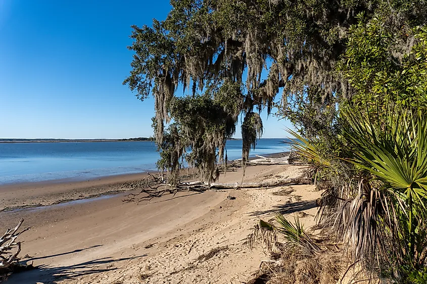 The coastline in Cumberland Island National Seashore, Georgia.