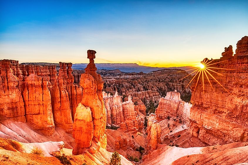 Thor's Hammer in Bryce Canyon National Park illuminated by the warm light of sunrise