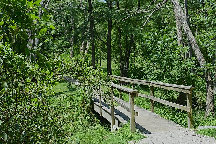 A small wooden bridge crosses a spring branch at Hidden Waters Park in Marshfield, MO.