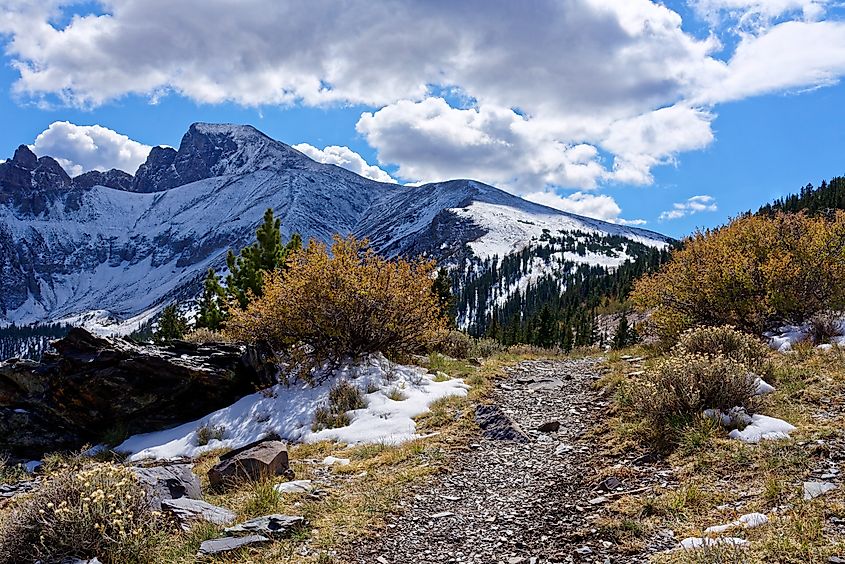 Panoramic view from the Wheeler Peak Trail in Great Basin National Park.