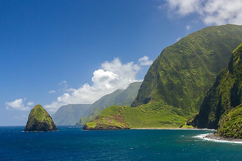 The Molokai Sea Cliffs are the largest in the world.