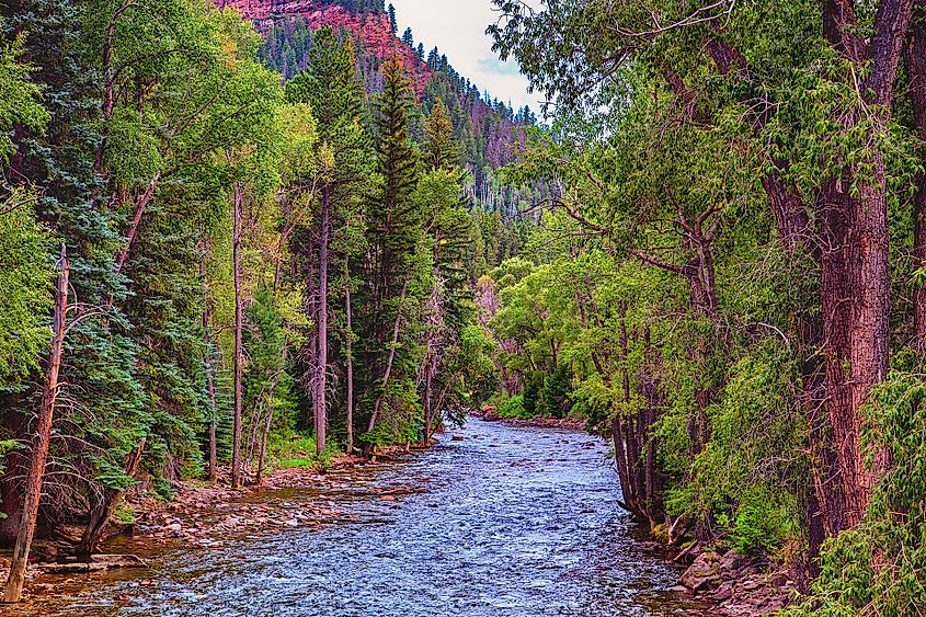 The Crystal River winds through the forests of Redstone, Colorado.