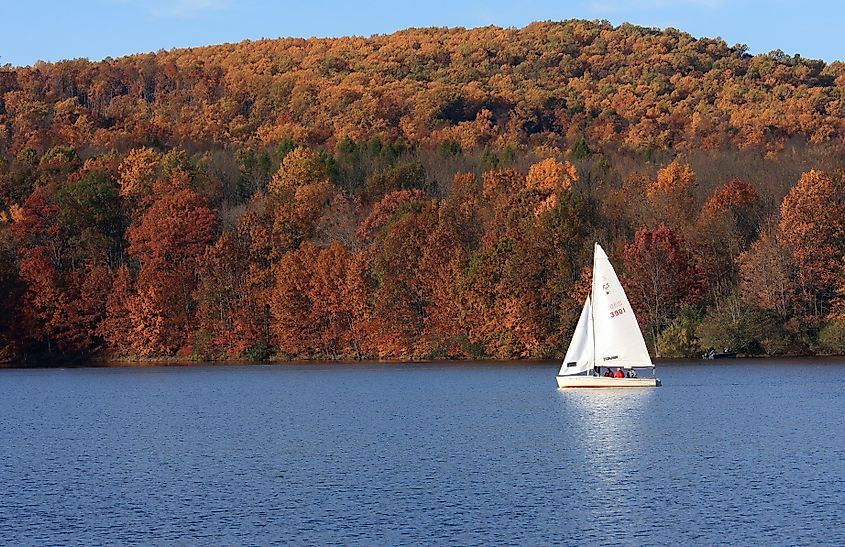 The serene waters of Lake Nockamixon is home to rich wildlife including snakes.