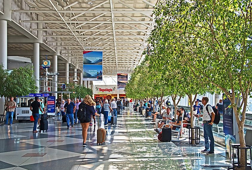 Tree lined central concourse at Charlotte Douglas International airport.