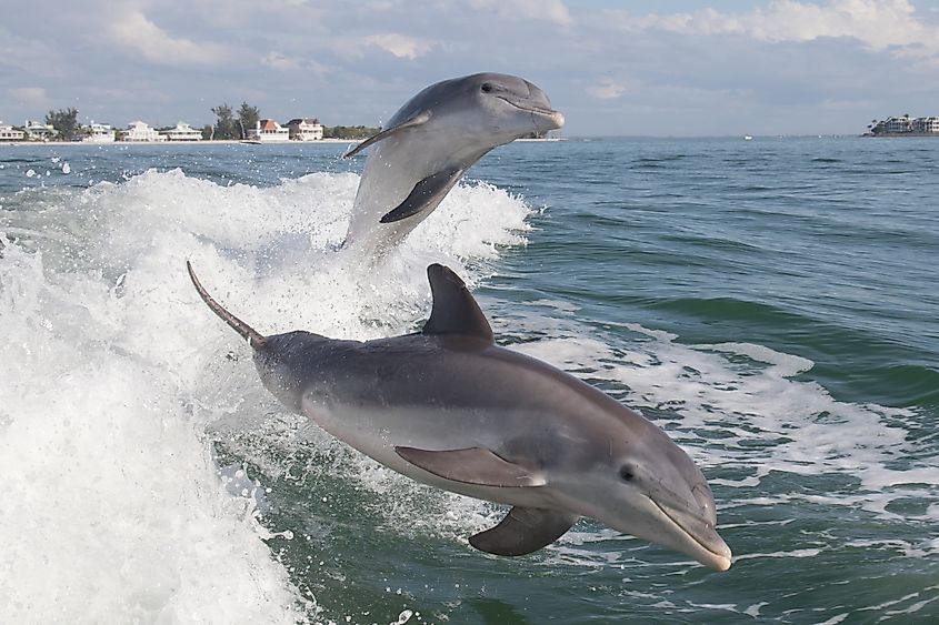 Captiva Island, Florida