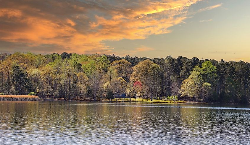 A stunning winter landscape at Lake Horton with rippling blue lake water surrounded by green trees and grass with a gorgeous clear blue sky in Fayetteville Georgia