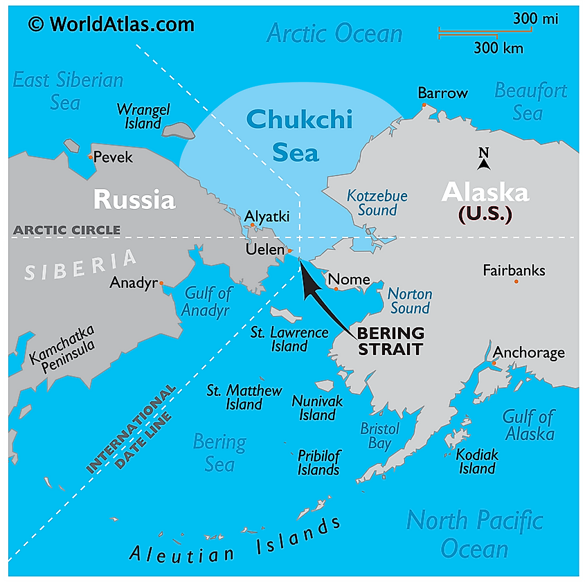 Bering Sea and Strait  Arctic Ocean, Pacific Ocean, Wildlife