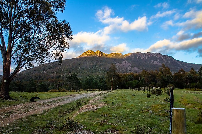 Sun-kissed peaks of Quamby Bluff.