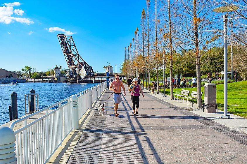 Tampa Bay, Florida. Editorial credit: VIAVAL TOURS / Shutterstock.com