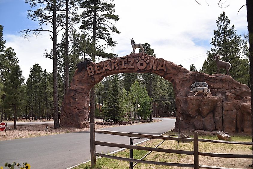 Bearizona Wildlife Park offers visitors a gift shop, dining, close-up view of brown bear, Alaskan tundra wolves, bob cats, birds of prey show, via Paul R. Jones / Shutterstock.com