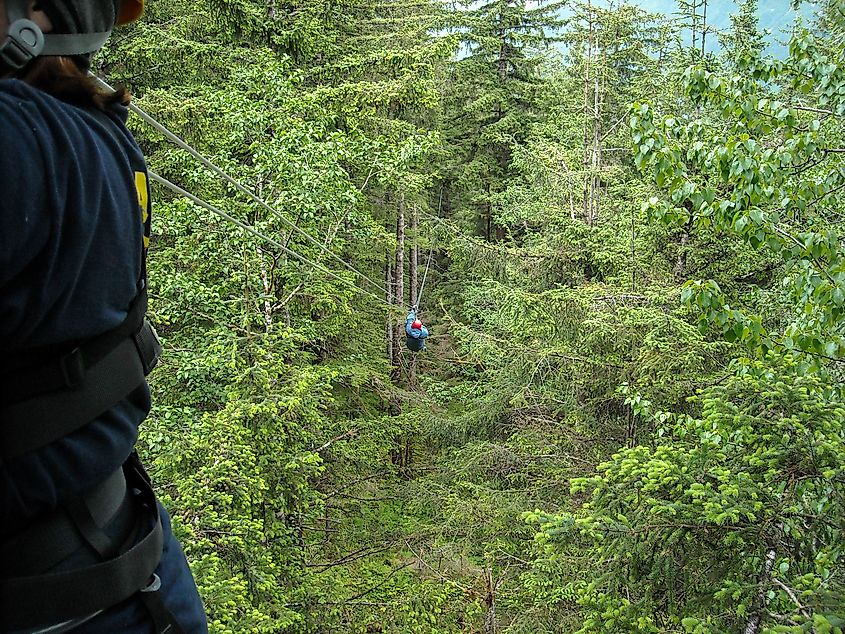 Ziplining during the Alaskan summer.