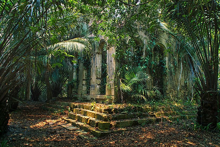 Ruins of a settlement in the Amazon Rainforest.