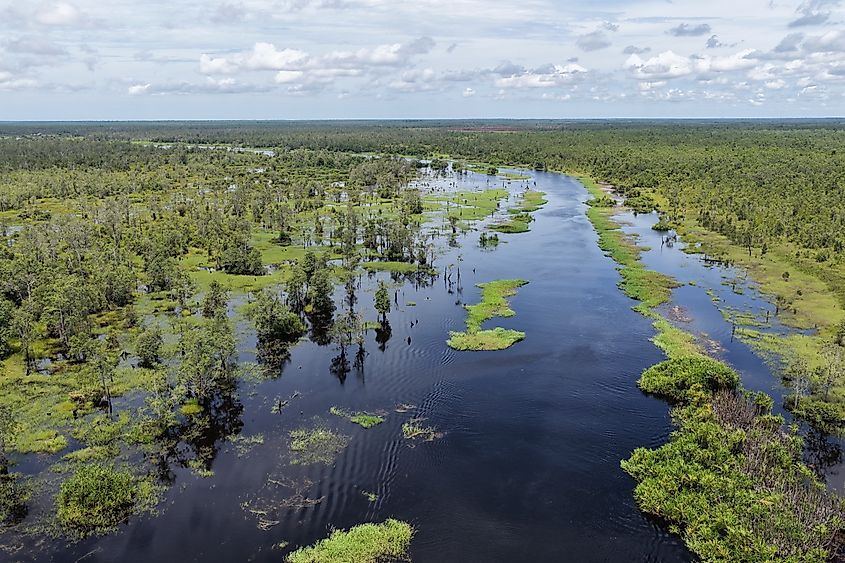 Aerial drone view of tropical peatland wetland with river channel surrounded by natural vegetation and flooded forest in Central Kalimantan, Indonesia.