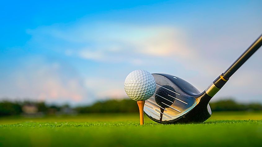 Close up of golf equipment on green grass.