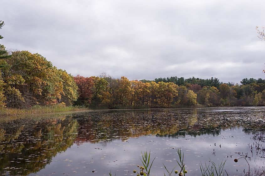 Blue Hills Reservation in Milton, Massachusetts.