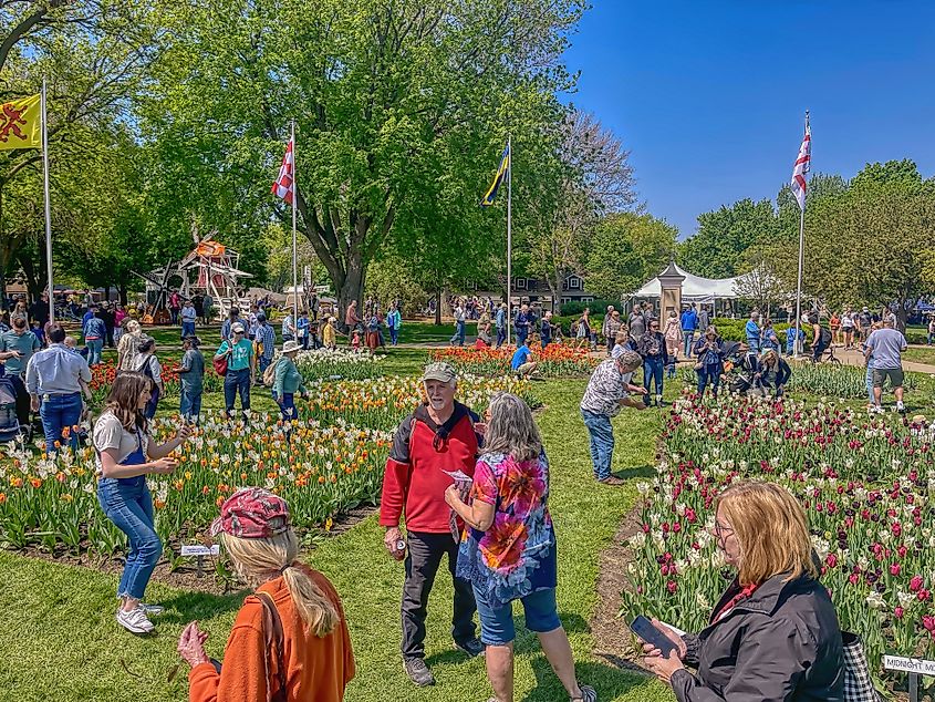 People enjoying the annual Tulip Festival in Orange City, Iowa.