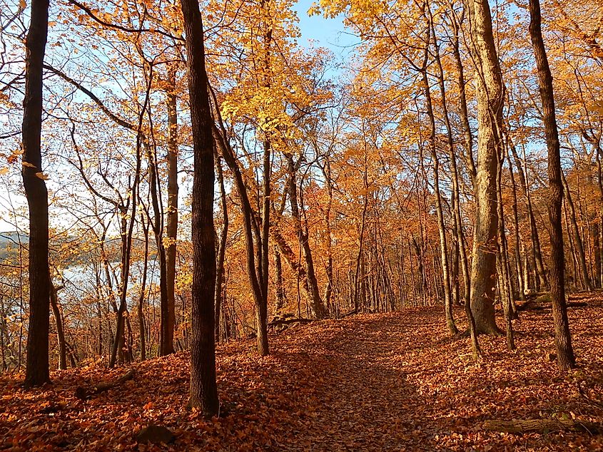 Pere Marquette State Park in Autumn, Grafton, IL