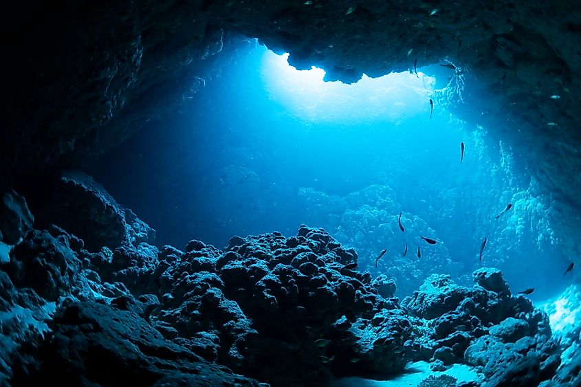 Sunlight and fish in an underwater hole.