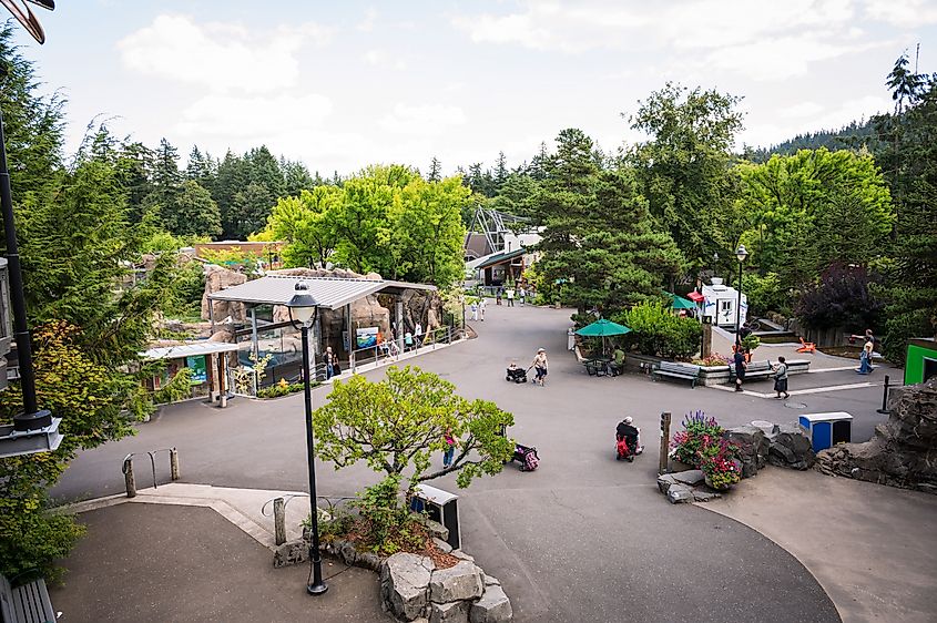 The Oregon Zoo in Portland, Oregon, with visitors exploring exhibits amid lush, landscaped grounds