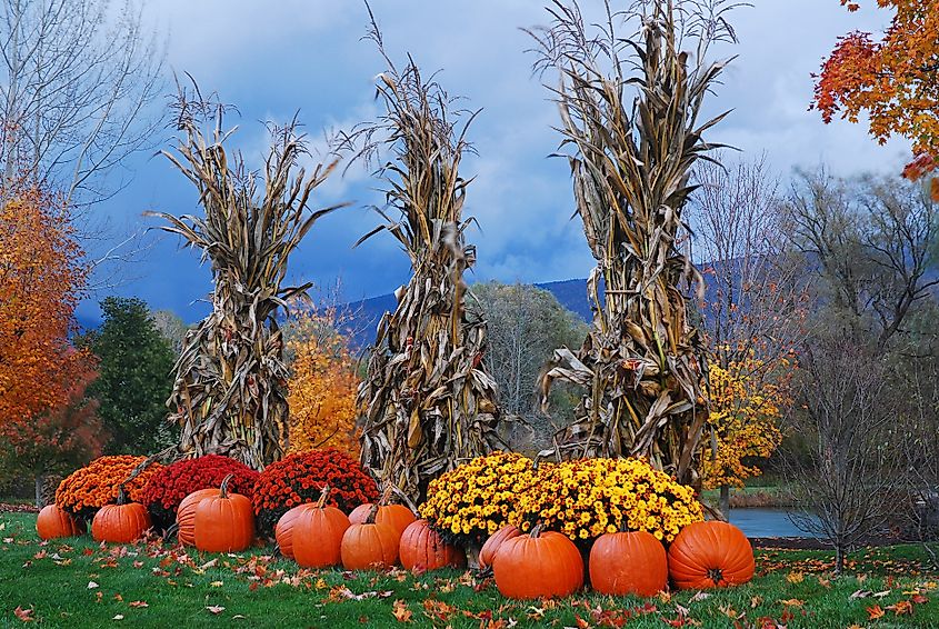 fall in vermont.