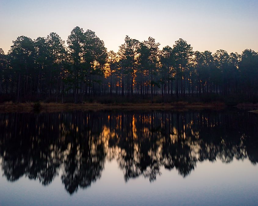 Misty sunrise over a lake in De Soto National Forest, Mississippi