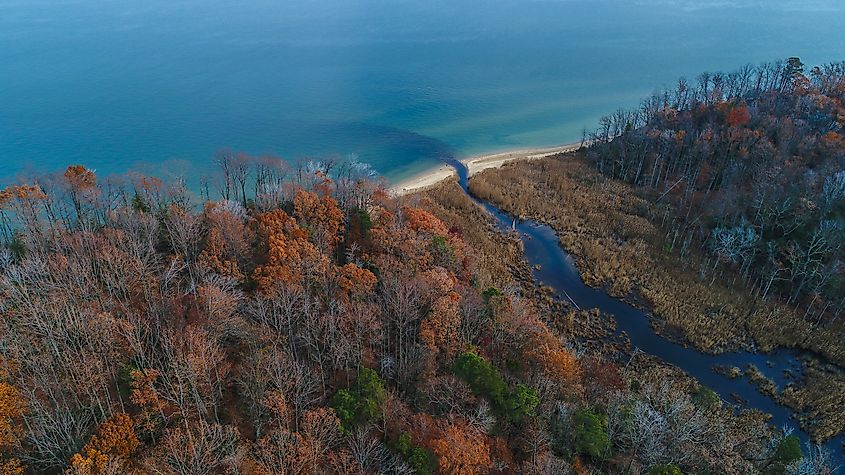 Calvert Cliffs State Park, Maryland