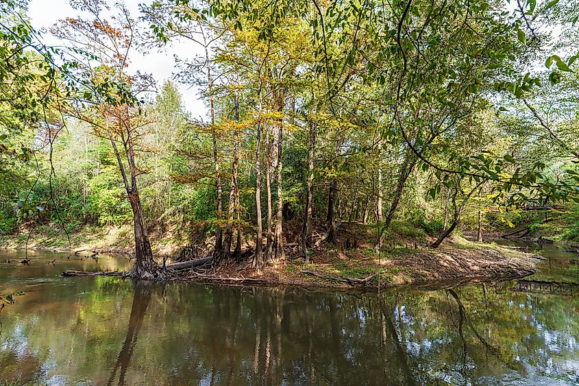 Big Thicket National Preserve, Texas.