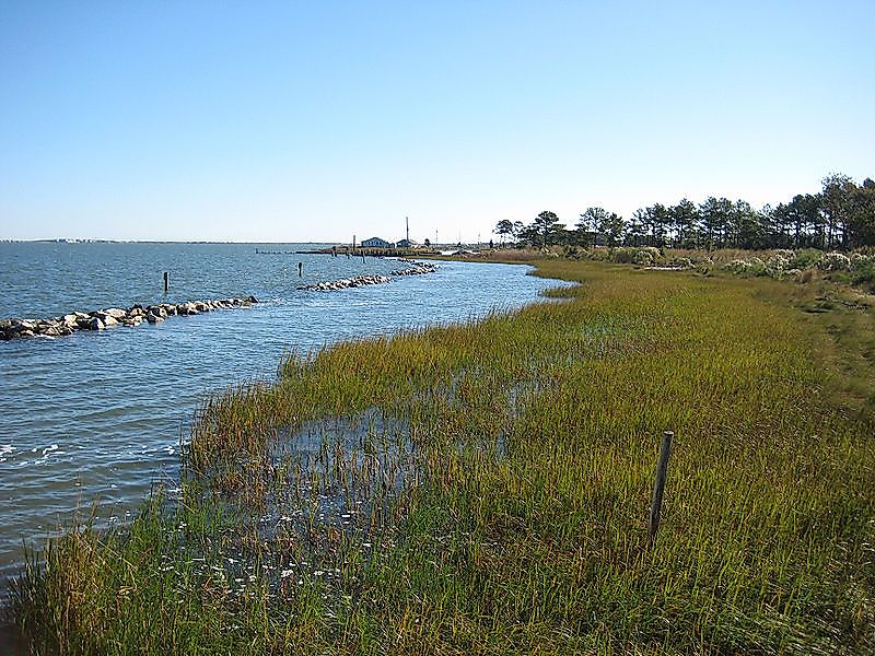 Pots-Nets, Delaware