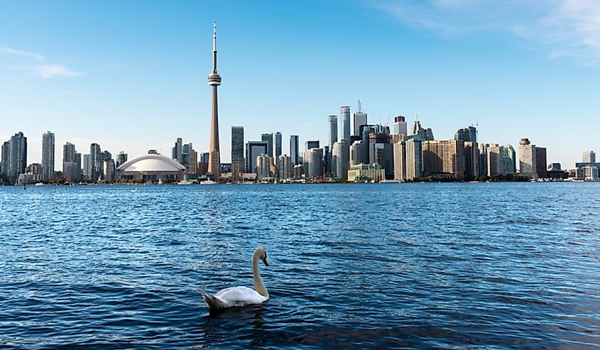 The city of Toronto on the shores of Lake Ontario.