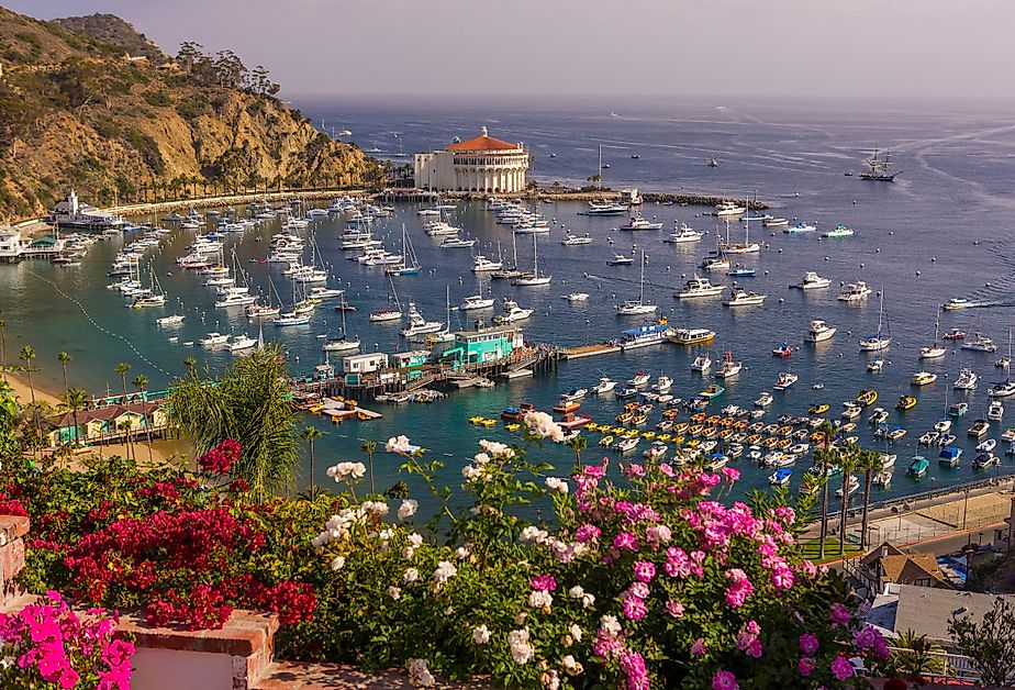 Flowers, harbor and Casino in the isolated town of Avalon, Santa Catalina Island. Image credit Rob Crandall via Shutterstock