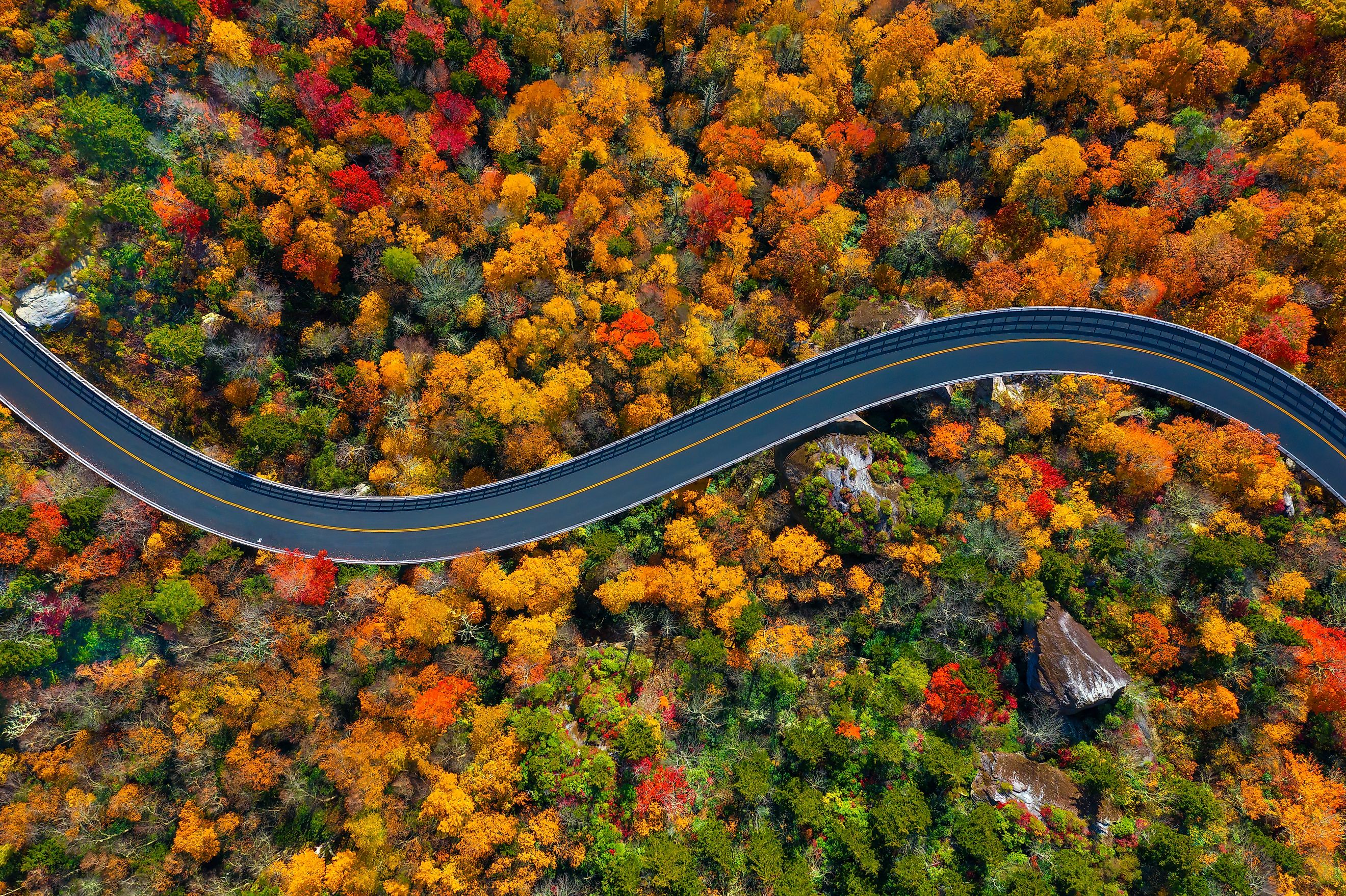 Top view of fall foliage along the Blue Ridge Parkway in North Carolina.