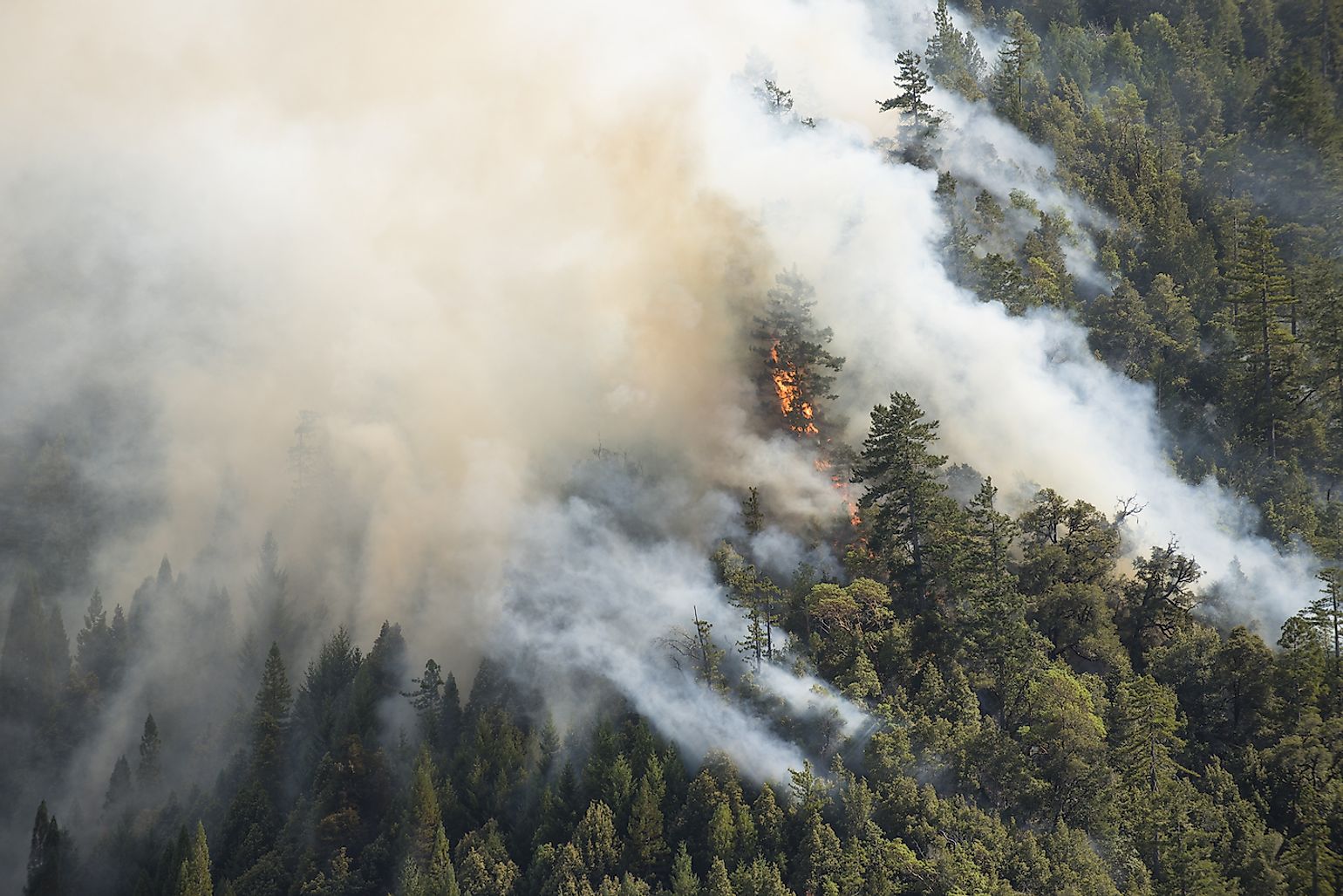 US States Most Prone To Wildfires - WorldAtlas