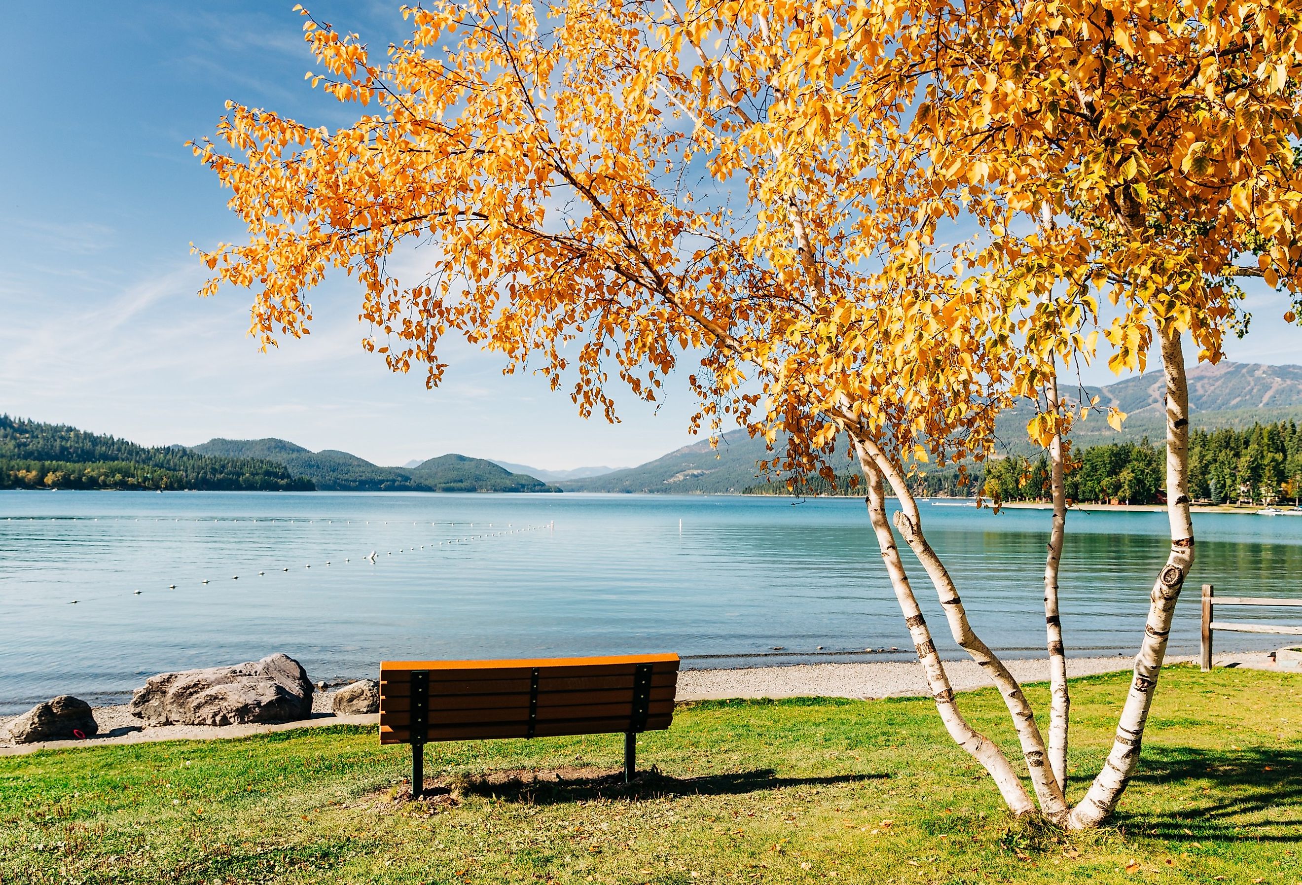 City Beach landscape on a sunny fall day in Whitefish, Montana.