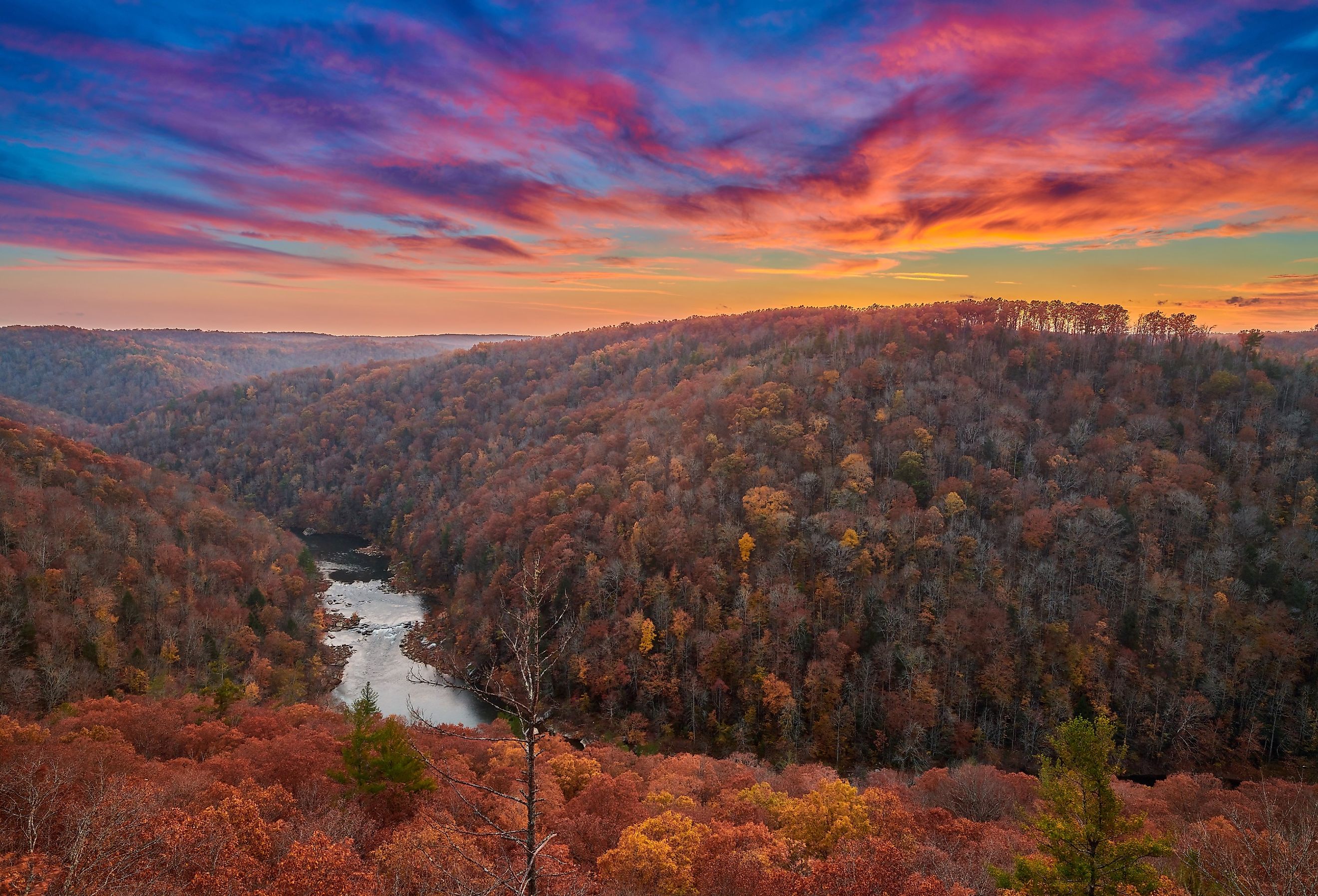 Best hikes to see fall foliage at its peak in Nashville, Tennessee