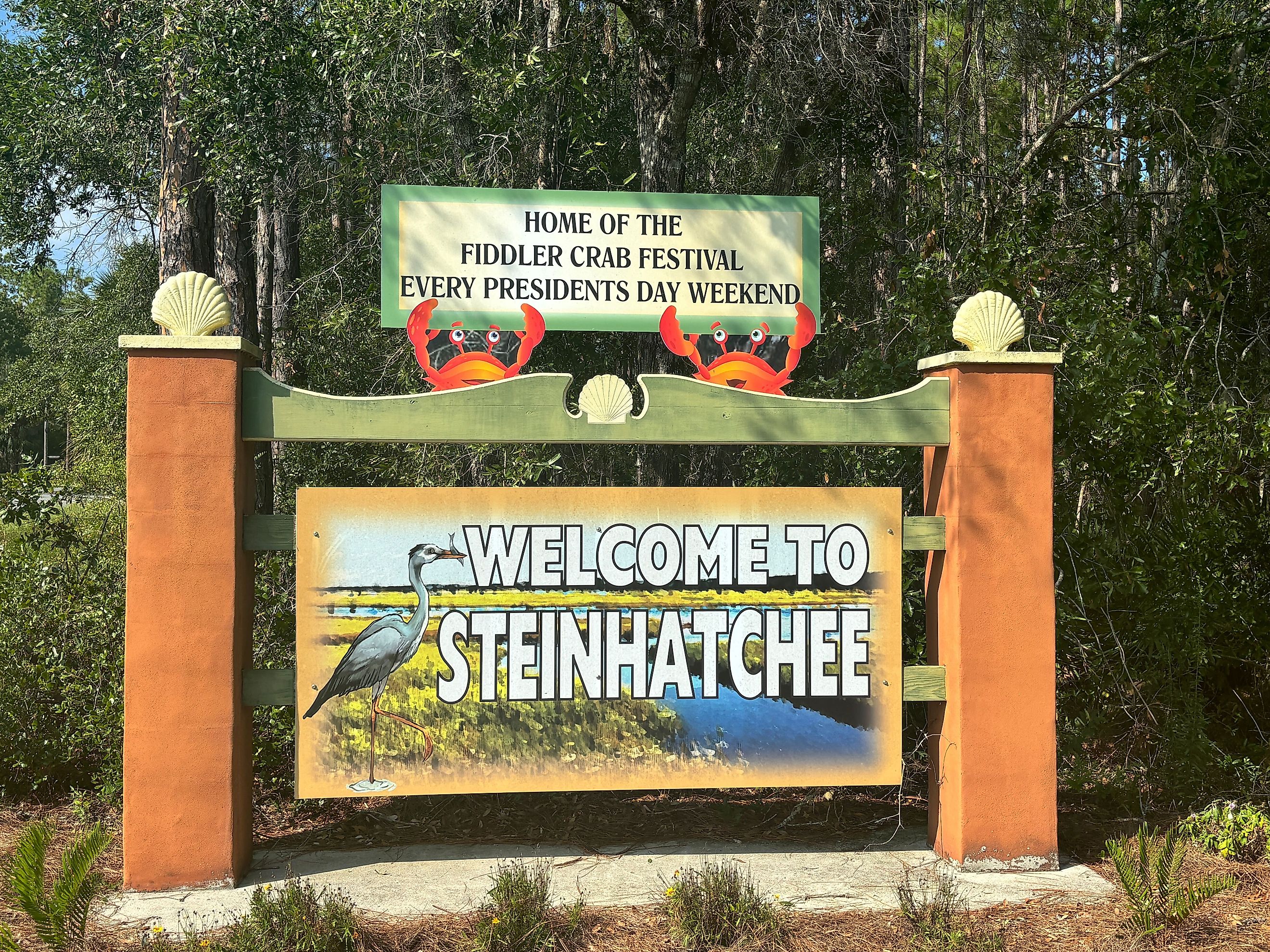 Scalloping and Offshore Adventure in Steinhatchee, Florida - WorldAtlas