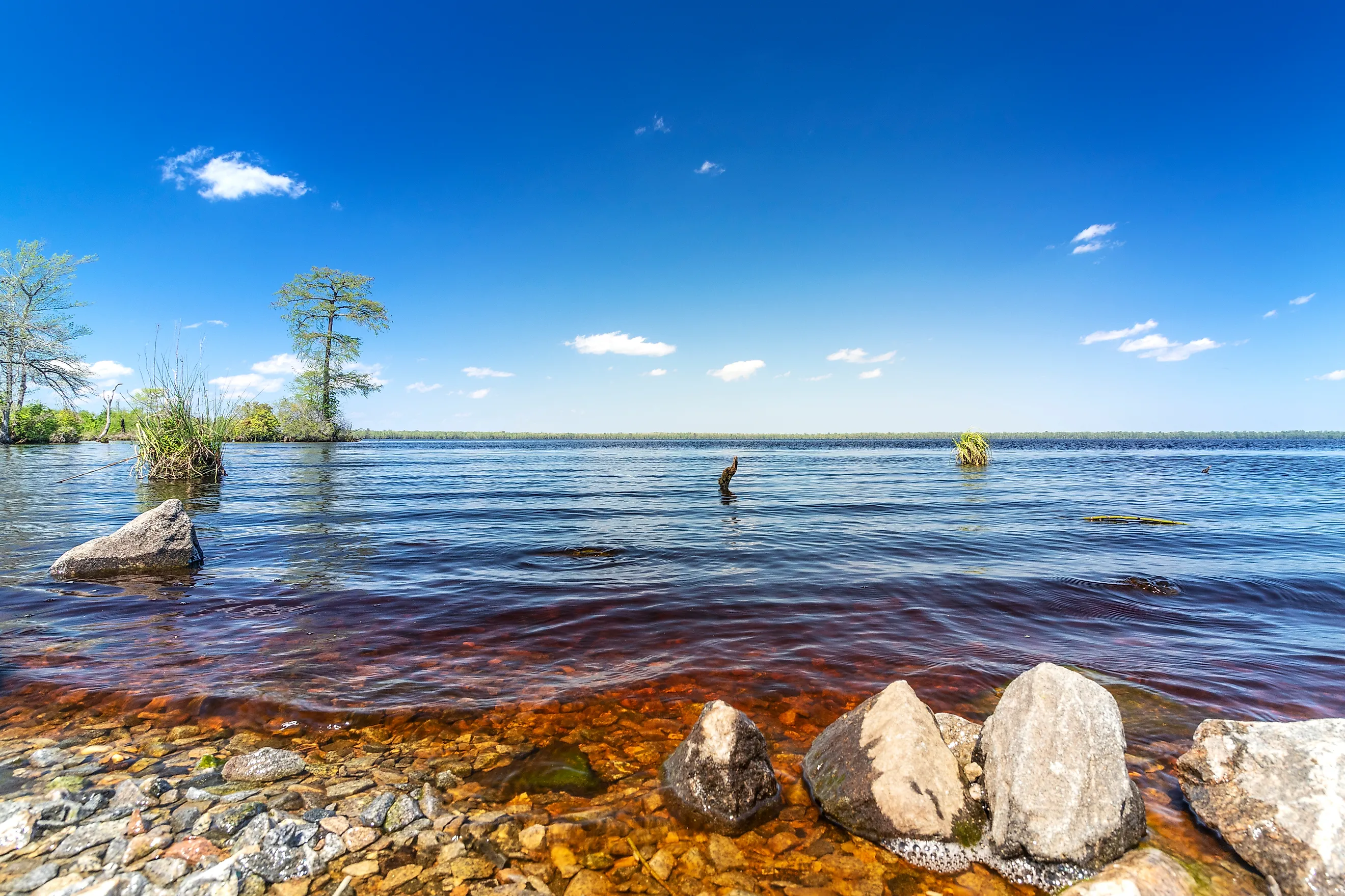 Virginia's Lake Drummond