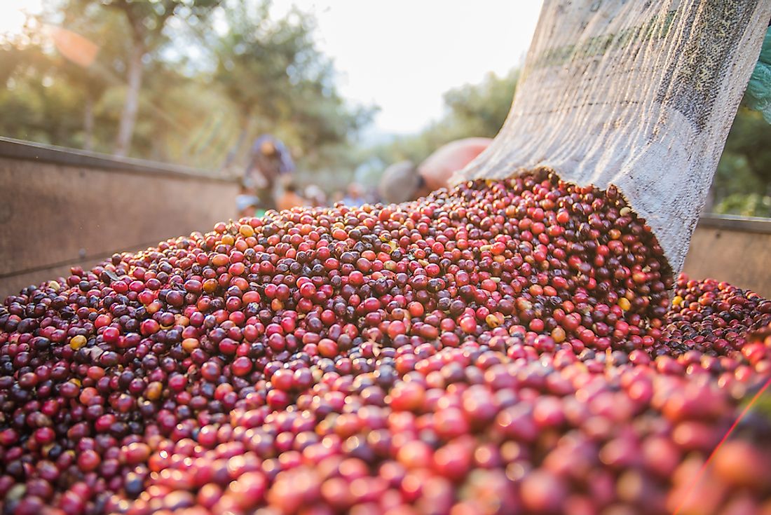 Top Coffee Producing Countries WorldAtlas