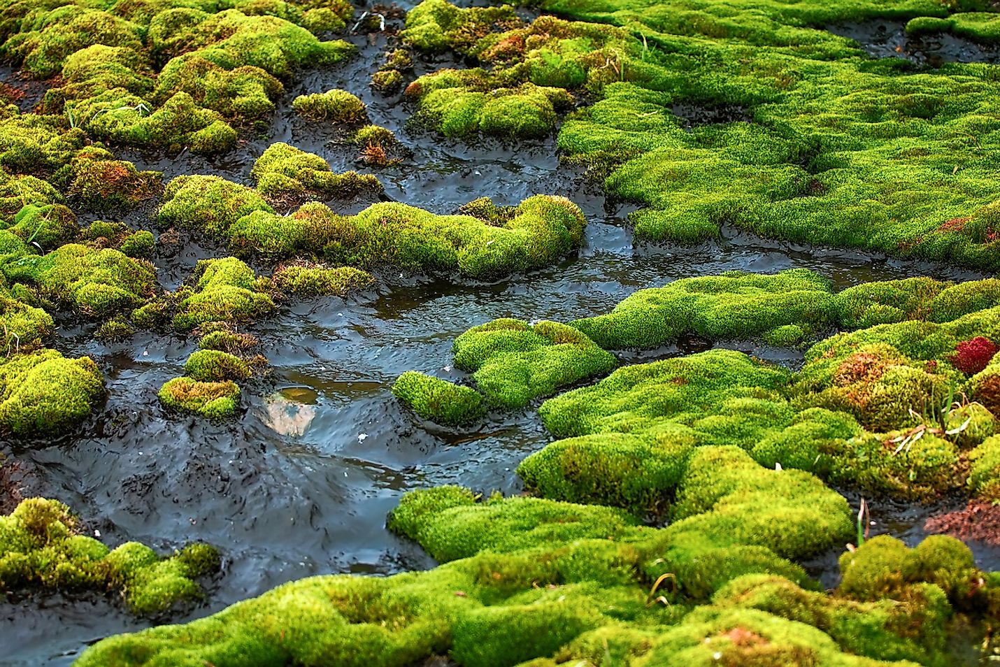 10 Interesting Things To Learn About Permafrost - WorldAtlas