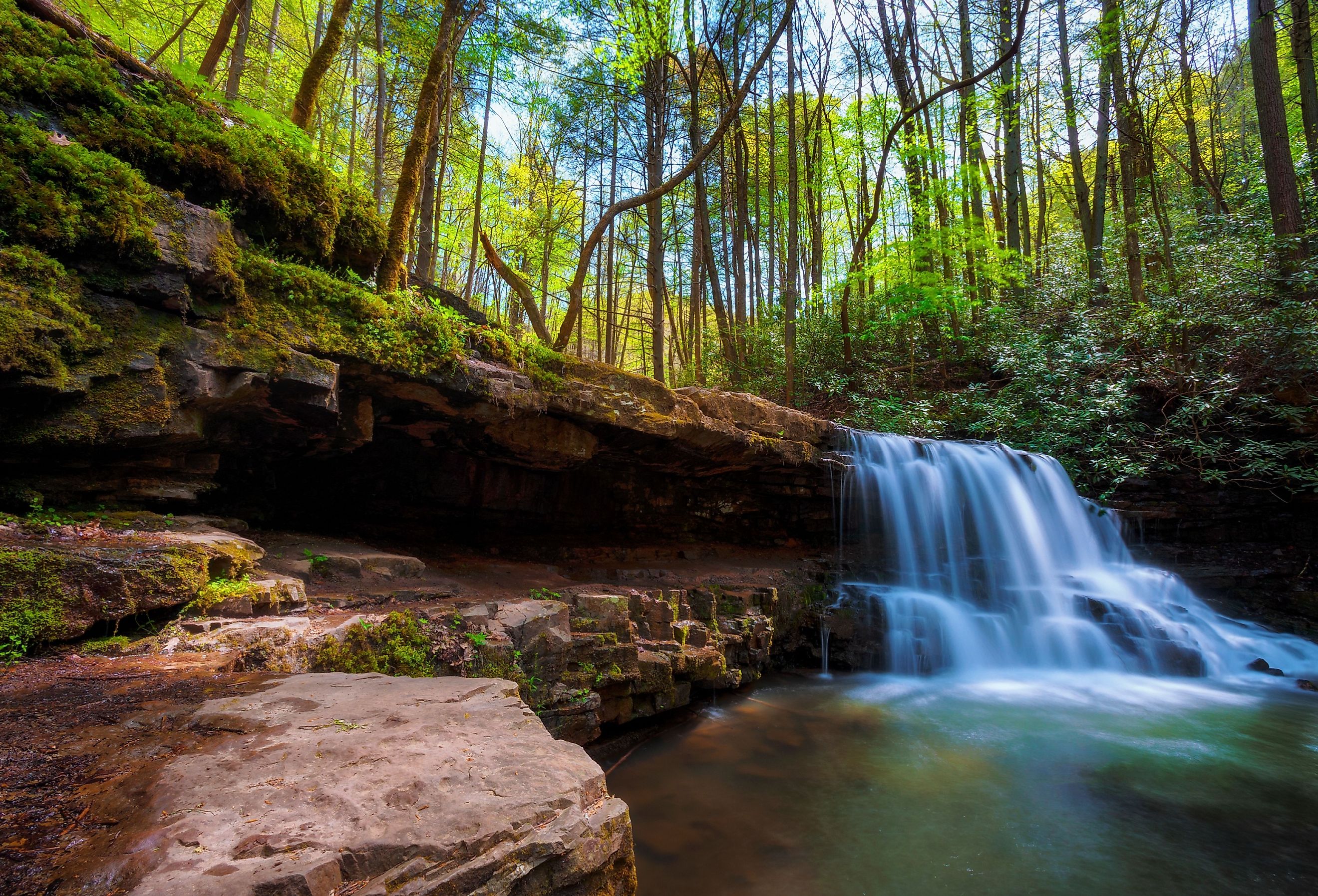 Spring time hiking along Kiner Creek in Laurel Run Park in Church Hill, Tennessee.