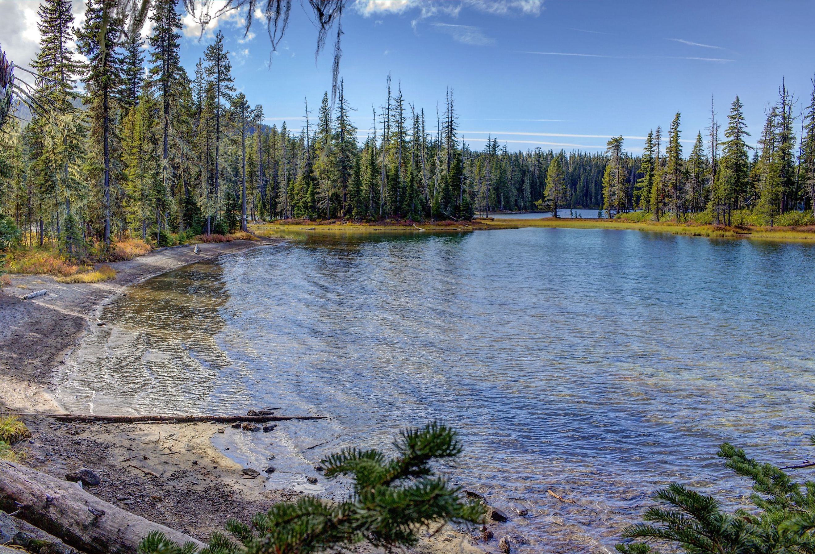 Crystal clear waters of Waldo Lake, Oregon.