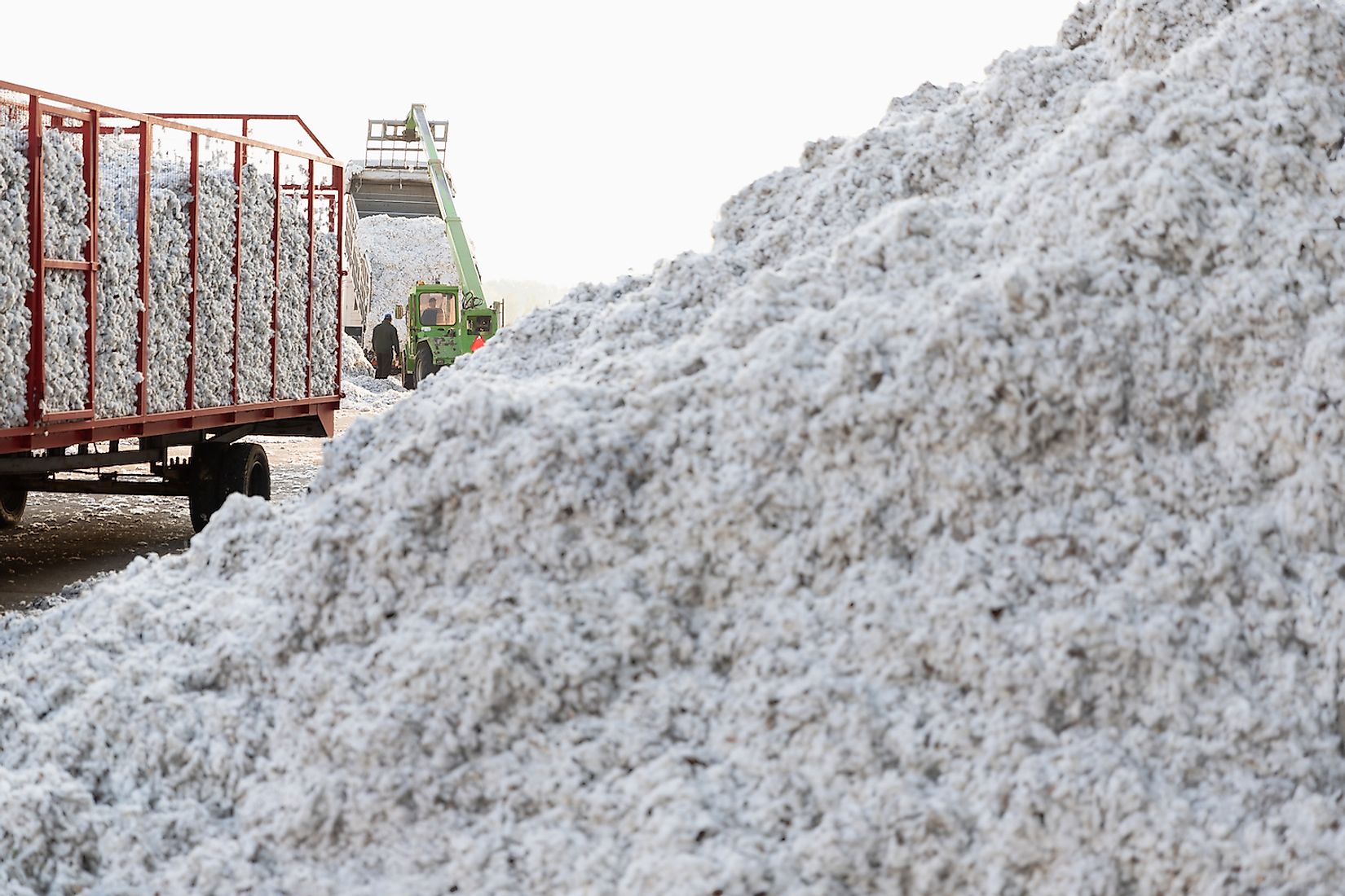 Top Cotton Producing Countries In The World WorldAtlas