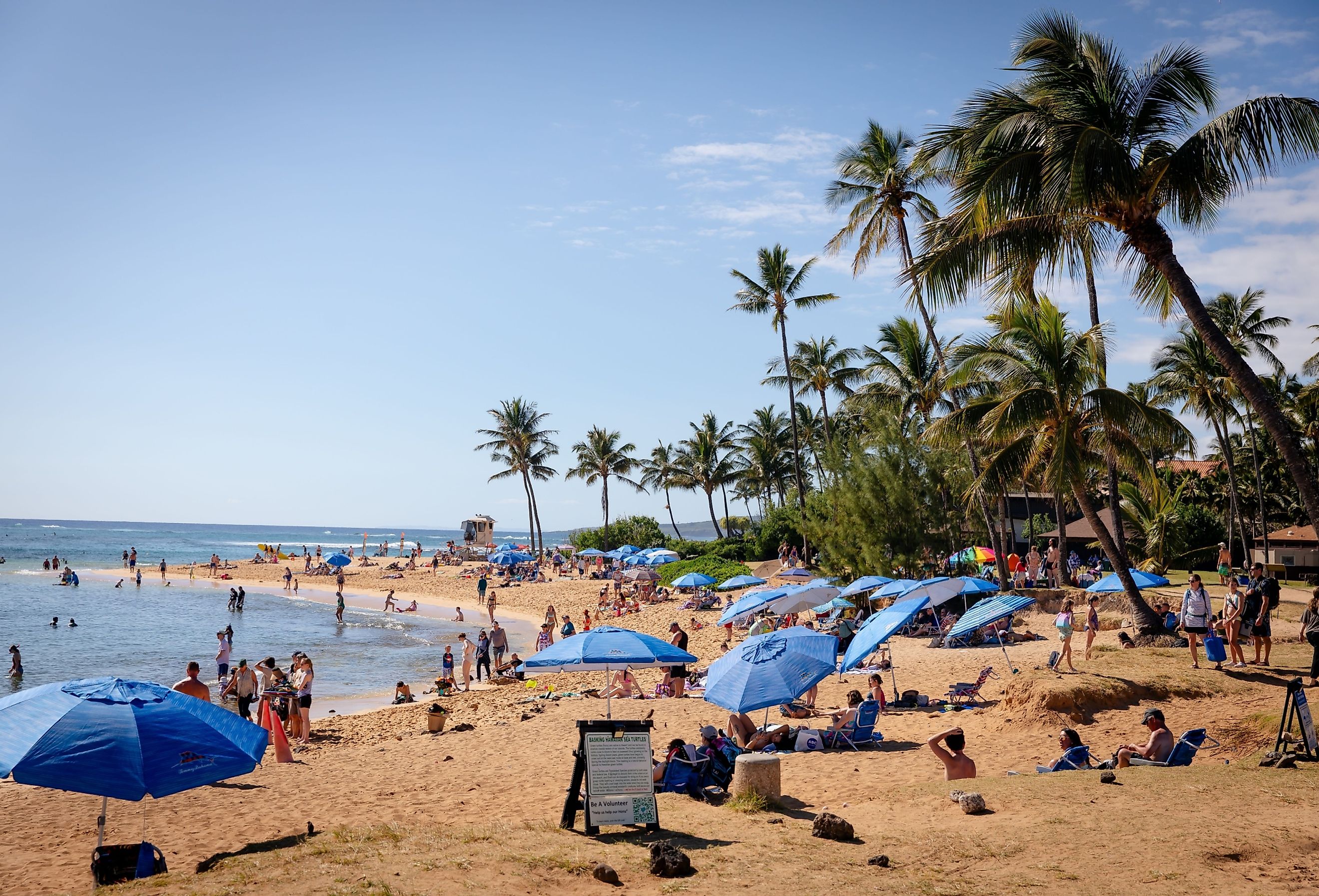 Poipu Beach on the South Shore of Kauai, Hawaii, full of tourists on a sunny day, with tall palms in Koloa, Hawaii. Image credit bluestork via Shutterstock.