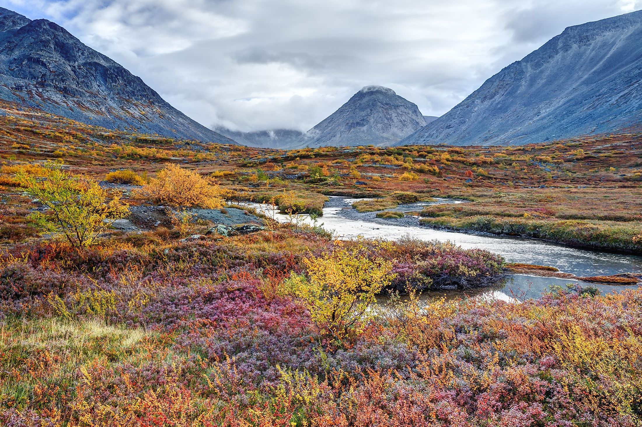 What Is The Tundra WorldAtlas