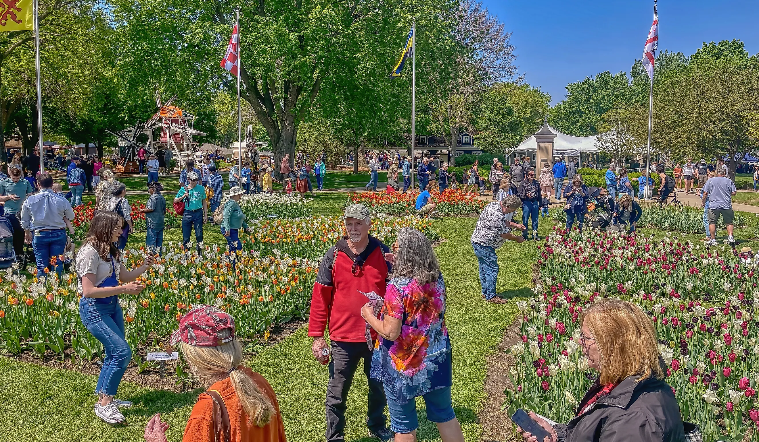 Annual Tulip Festival in Orange City, Iowa. Image credit Jacob Boomsma via Shutterstock