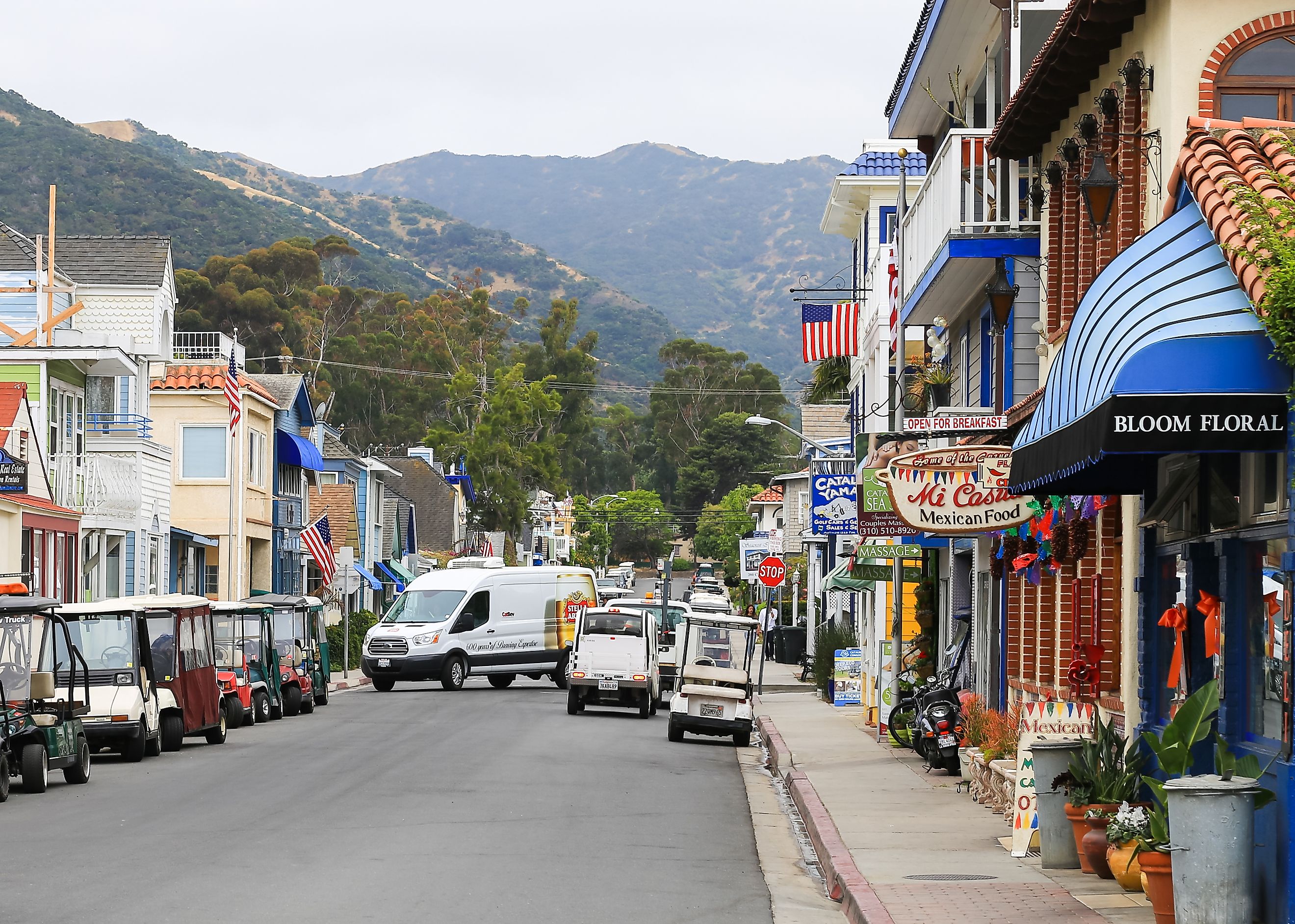 A street in Avalon (Santa Catalina Island). There are many shops on the street. Some of the islands typical golf karts are on the roadside, via mixmotive / iStock.com