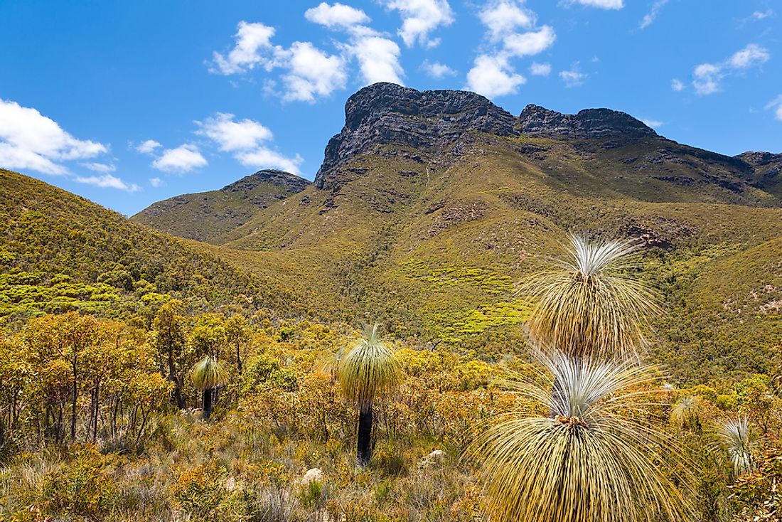 the-different-types-of-shrubland-biomes-across-the-world-worldatlas