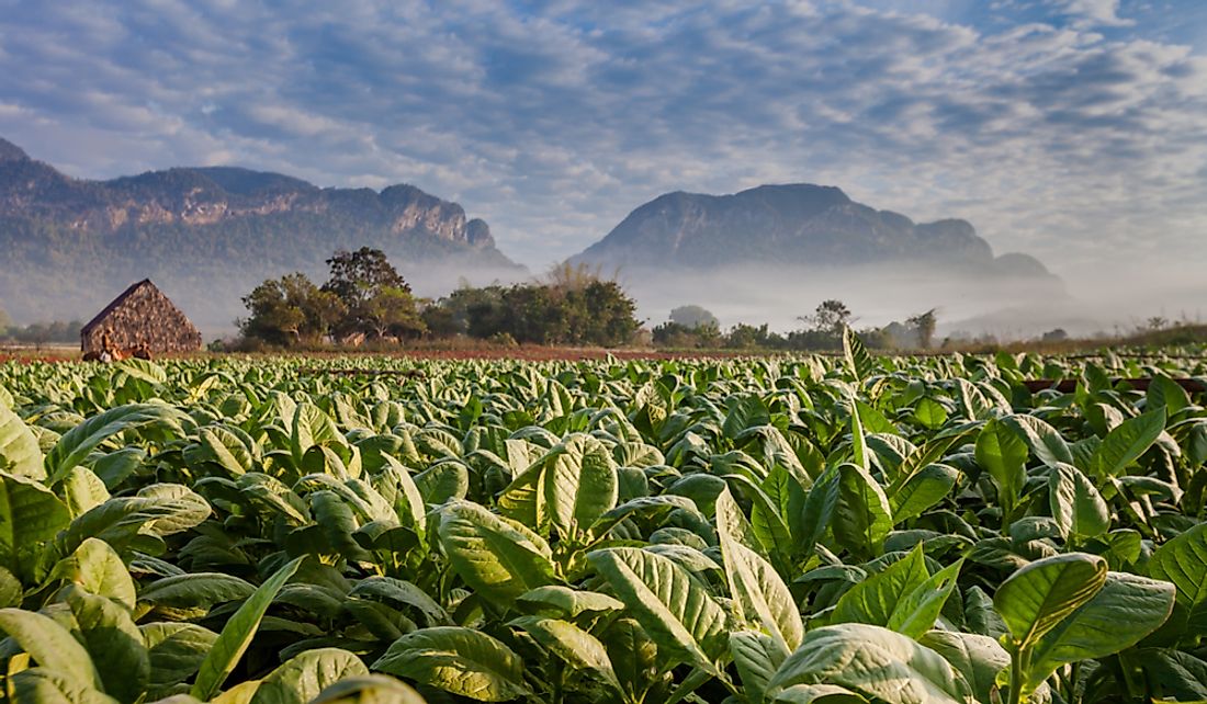 What Are The Main Natural Resources Of Cuba