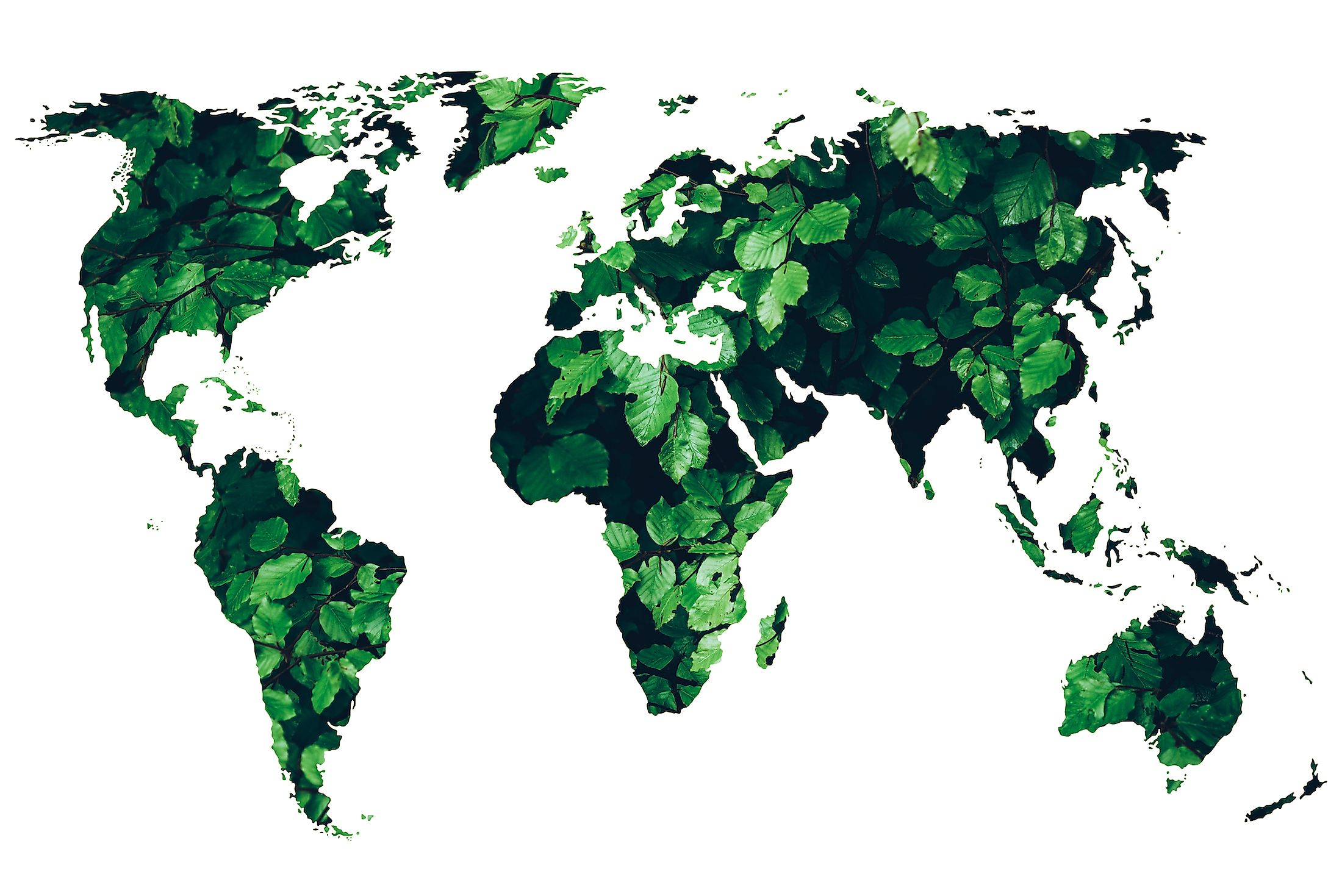 World s 5 Most Eco Friendly Countries Asiana Times