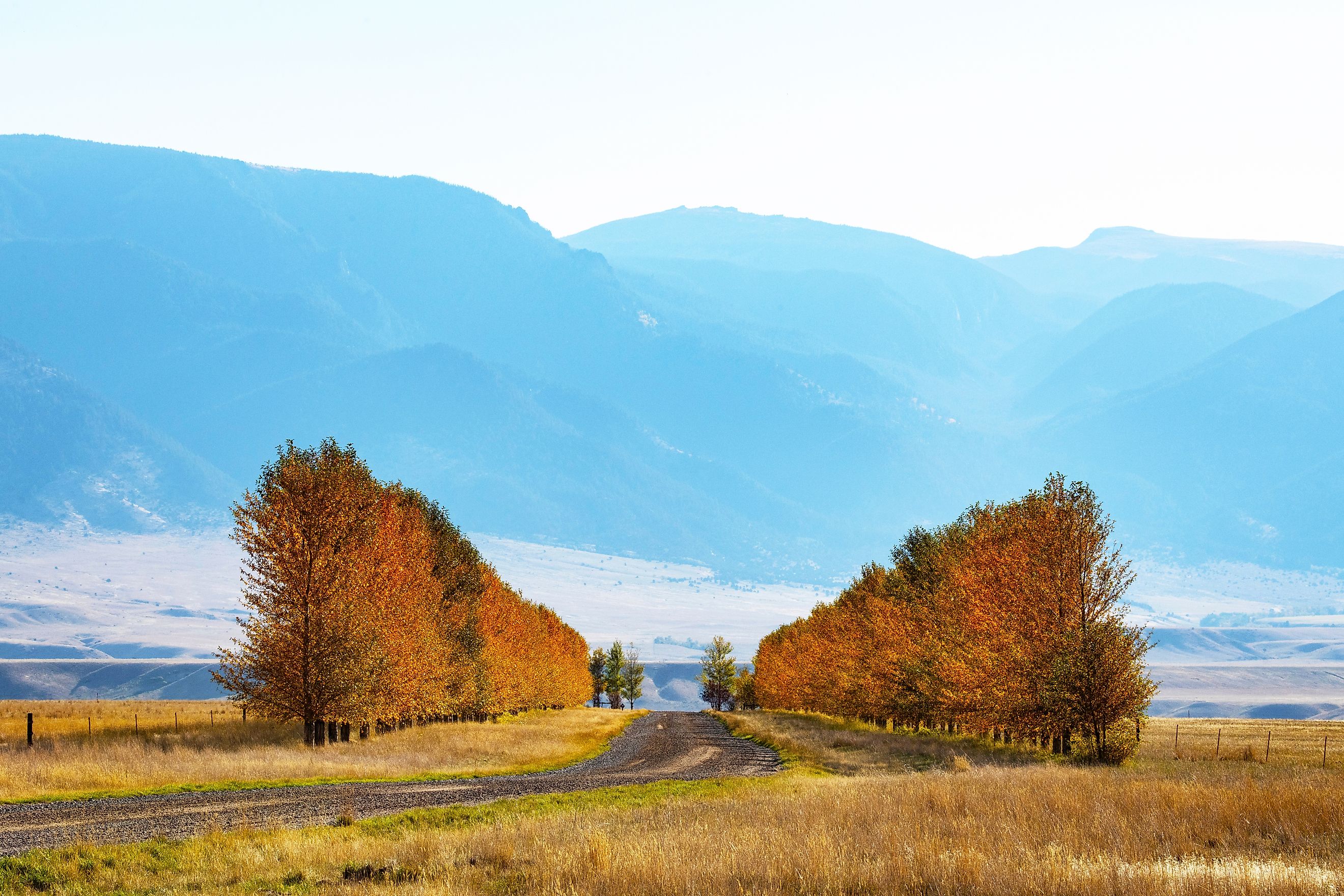 Ennis, Montana